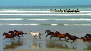 CORRIDA DE CAVALOS NA PRAIA [upl. by Annuahs]