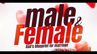 MALEampFEMALE 48  SETTING PRIORITIES RIGHT FOR MARRIAGE  APOSTLE GIDEON ODOMA [upl. by Nairod112]