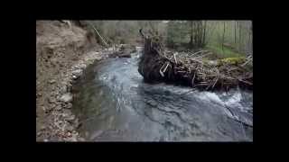 Truite au leurre à lultraléger partie 2  Gopro HD [upl. by Tharp]