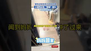 貓咪迎接爸爸VS媽媽回家，小貓咪還有“兩幅”面孔，網友：大型雙標現場 cuteanimal cat 寵物 萌寵 [upl. by Avonasac]