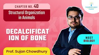 Decalcification of Bone  Structural Organization in Animals  NEET  Biology  TG Campus [upl. by Rimas]