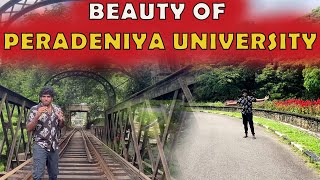 University Of Peradeniya Vlog My favorite places at Pera [upl. by Eidaj]