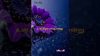 Ootha ootha poo minsara kanna90s melody hariharan song [upl. by Reggy840]