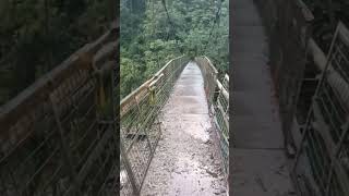 Natural calamities shortvideo nature [upl. by Oirobil929]