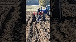 Massey Ferguson 35 Tractor with Ransomes at Newbury Ploughing Match  Saturday 19th October 2024 [upl. by Aliber]