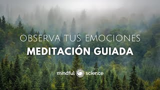 🎧Observa tus Emociones Aquieta Tu Mente Vive en Paz Meditación Guiada Mindful Science💙 [upl. by Denison]