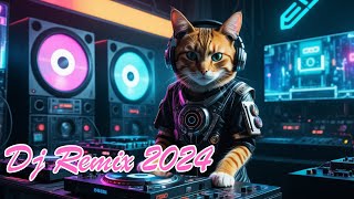 Dj Remix 2024 [upl. by Ibocaj]