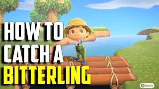 How to Catch a Bitterling  Bitterling ACNH  Bitterling Animal Crossing New Horizons  ACNH Fish [upl. by Hike]