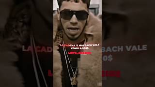 Real hasta la muerte 👹 Nunca Sapo “ Anuel AA  LirycCodeine [upl. by Nedak]