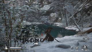 Müsste der nicht in der Winterstarre sein  Black Myth Wukong 48 [upl. by Neemsaj]