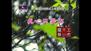 蔡小虎vs龍千玉真心只愛你官方KTV版 [upl. by Kaufmann]