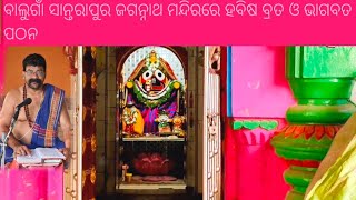 ବାଲୁଗାଁ ସାମନ୍ତରାପୁର ଜଗନ୍ନାଥ ମନ୍ଦିରରେ ହବିଷ ବ୍ରତ ଓ ଭାଗବତ ପଠନ balugaon [upl. by Syhr520]