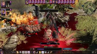 Divinity Original Sin 2  Viscous Voidling Fight [upl. by Yrogiarc]