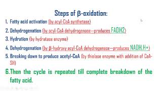 Fatty acid oxidations [upl. by Buyers]