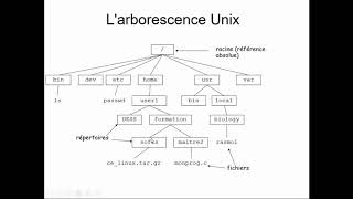 Larborescence des fichiers sous Linux [upl. by Viveca]