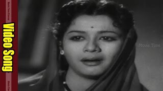 Thane Marena Video Song  Devdas Movie  ANR Savitri [upl. by Aremahs163]