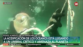 Alerta por la acidificación de los océanos  26Planeta [upl. by Giliane]