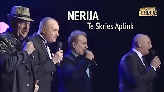 Nerija  Te Skries Aplink Lyric Video LRT Naujametinis Koncertas [upl. by Keir845]