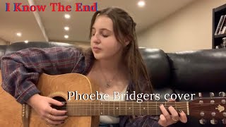 I Know The End  Phoebe Bridgers cover [upl. by Sholeen]