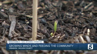 Wilson County elementary schools garden nourishes mind and heart [upl. by Einnej387]