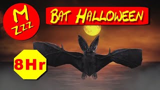 Halloween Bat 8 Hour Video  Pipistrelle Bat Sound Effects  Help You to Sleep [upl. by Acsicnarf443]