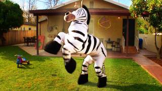 Dope Zebra  Rhett amp Link Official Original Video [upl. by Eelnodnarb]