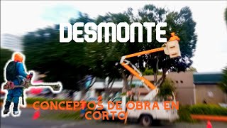 DESMONTE ¿QUÉ ES LIMPIEZA DE TERRENO  LTCM EN CORTO [upl. by Pavier277]