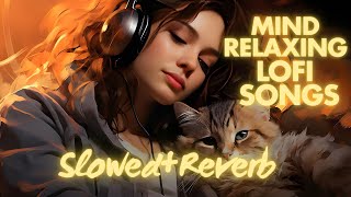 Mind 💕 Relaxing Lofi Mashup  MOOD FRESH LOFI 💕 SONGS  slowedandreverb hindisongslofimix dj [upl. by Na380]