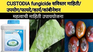 CUSTODIA fungicide कस्टोडीया बुरशीनाशका बद्दल संपूर्ण माहितीcustodiafungisidetomatograpeटोमेटो [upl. by Annairda132]