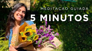 Meditação Guiada  5 MINUTOS [upl. by Sillek2]