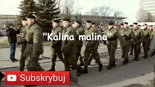 KALINA MALINA  AKORDEON  BOSSMusicLomza [upl. by Nodababus896]