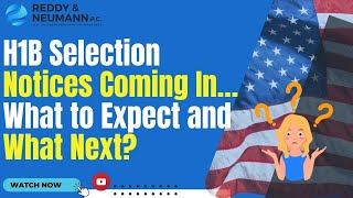 H1B Selection Notices Coming In…What to Expect and What Next [upl. by Nauquf434]