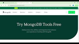 MongoDB Atlas Streamlit [upl. by Enitsyrk]