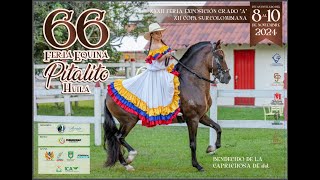 FERIA EXPOSICION EQUINA GRADO quotAquot COPA SURCOLOMBIANA PITALITO 2024  TROCHA COLOMBIANA [upl. by Wilkens]