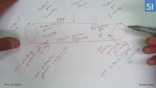 Hydrostatic vs Oncotic pressure Movement of fluids Explained [upl. by Olzsal986]