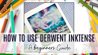 How To Use Derwent Inktense Pencils  A Beginners Guide  Colour and Chat  Tutorial [upl. by Leiram]