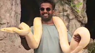 இது என் செல்லப் பாம்பு  MY SNAKE  Tamil Travel Vlog  Tamil Vlogger  TamilVlogs TamilTraveler [upl. by Amy164]