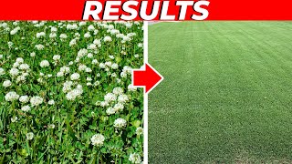 3 Weed Control Products to Kill Weeds Fast Without Killing the Grass [upl. by Huff479]