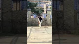 I do such practice in cricket nets shorts cricketlover [upl. by Hump]