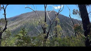 Mt Imlay Trail 30 October 2024 [upl. by Cohbert]