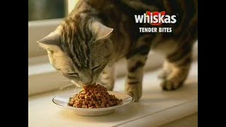 Whiskas Tender Bites Commercial The WB KBWBTV 20 Mar 14 2003 [upl. by Opiak]