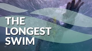 THE LONGEST SWIM across the Pacific Ocean [upl. by Jarnagin]