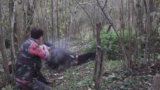 Ormanda domuz avı  Wild boar hunting in the forest [upl. by Alehtse]