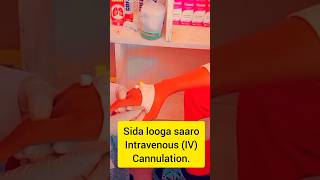 Sida loo furo Cannula ka warbaahintanoloshaislaamkatv ivcannula duet auxiliary college ivf [upl. by Tena980]