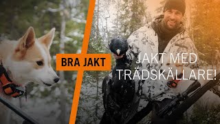 JAKT MED TRÄDSKÄLLARE  BRA JAKT [upl. by Otrebile581]