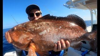 Florida Red Grouper Fishing Regulations for 2024  How to Find amp Catch Red Grouper [upl. by Rann]