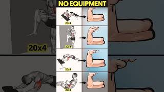 The TRUTH About Bodyweight Biceps and Triceps Exercises [upl. by Rot988]