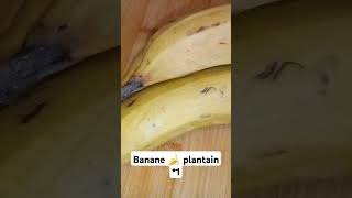 Banane plantain  Sucré savoureuse 001 food fruit [upl. by Ajup179]