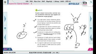 Mavi Set Biyoloji 1  Kalıtımın Genel İlkeleri  4 🔬 [upl. by Odlanor778]