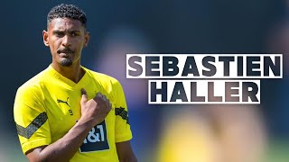 Sebastien Haller  Skills and Goals  Highlights [upl. by Aniras]